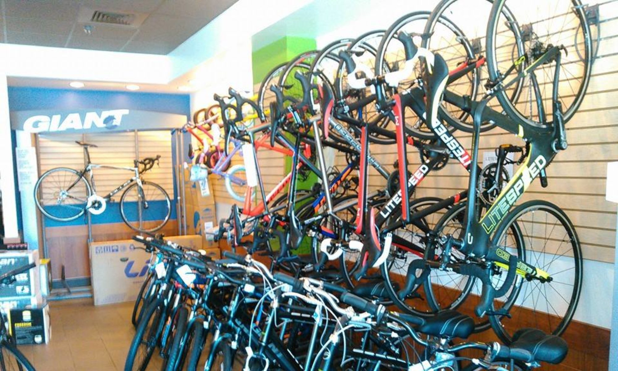 online bicycle retailers
